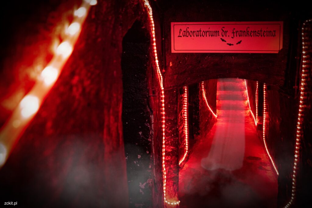 Wejście do podziemnego Laboratorium Frankensteina w Ząbkowicach Śląskich.