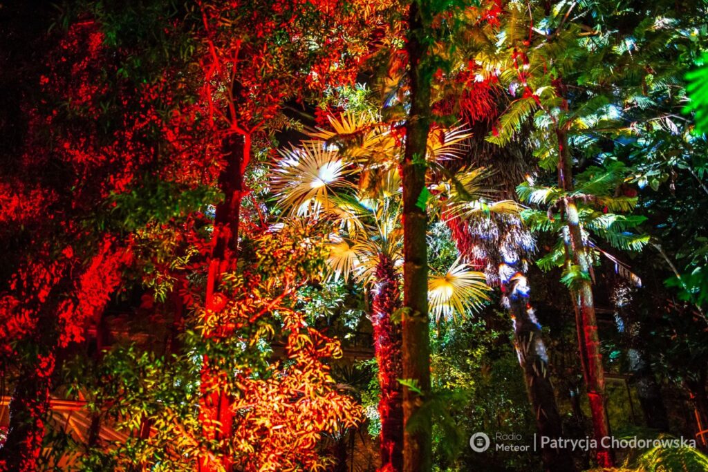 Nocne zwiedzanie Palmiarni Poznańskiej okiem Pani Patrycji Chodorowskiej z Radio Meteor.