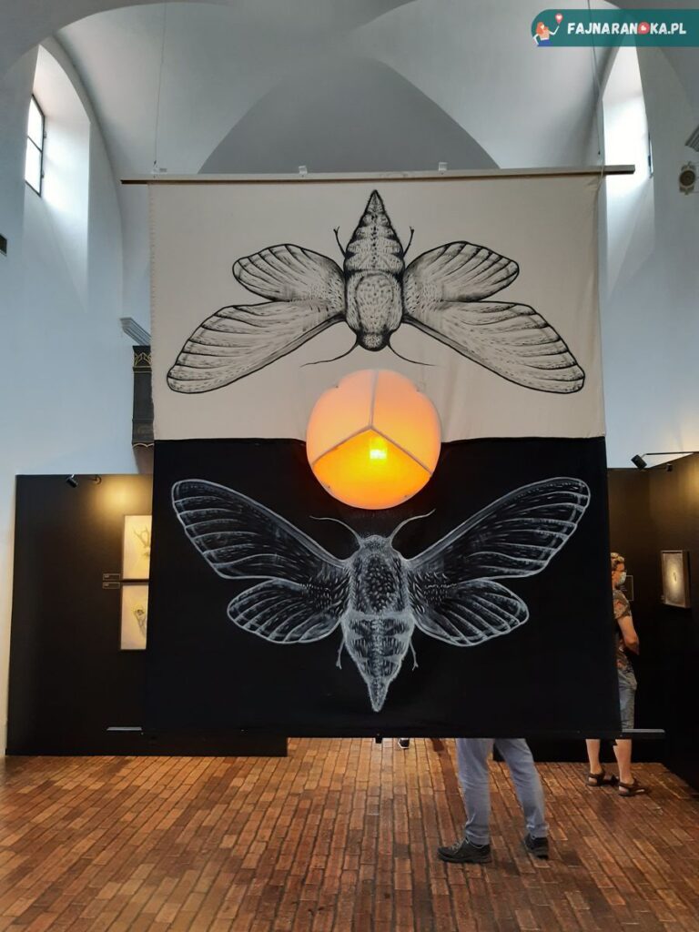 Cum animal morietur w Muzeum Historii Medycyny we Fromborku.