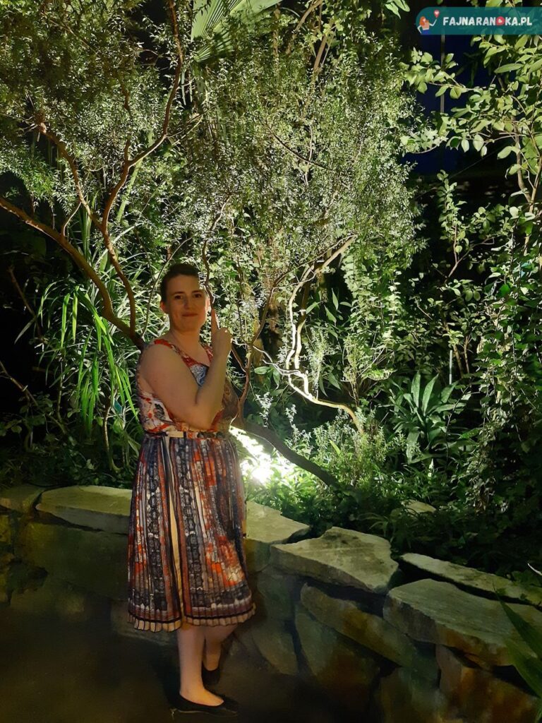 Nasza randka w poznańskiej Palmiarni nocą pozwoliła zrobić kilka ciekawych zdjęć w dżungli.