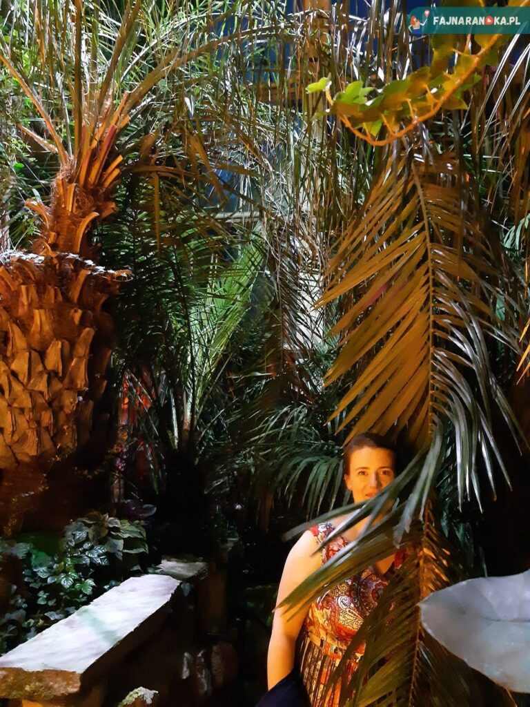 Nasza randka w poznańskiej Palmiarni nocą pozwoliła zrobić kilka ciekawych zdjęć w dżungli.