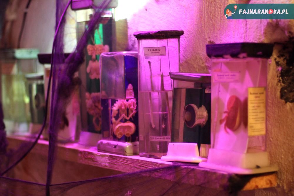 Mroczne preparaty w podziemnym Laboratorium Frankensteina w Ząbkowicach Śląskich.