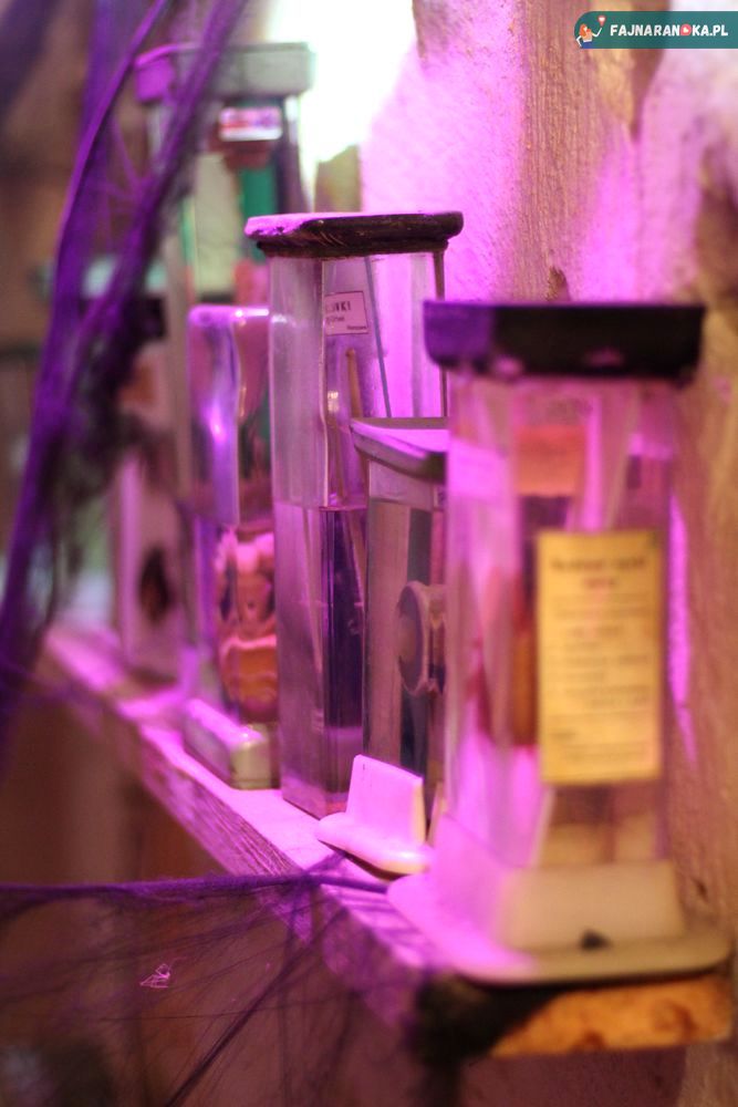 Prawdziwe preparaty w podziemnym Laboratorium Frankensteina w Ząbkowicach Śląskich.