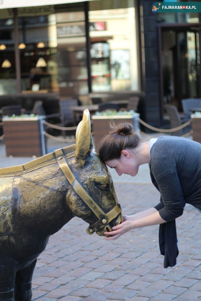 Narzędzie tortur dla żołnierzy - pręgierz osioł w Toruniu.