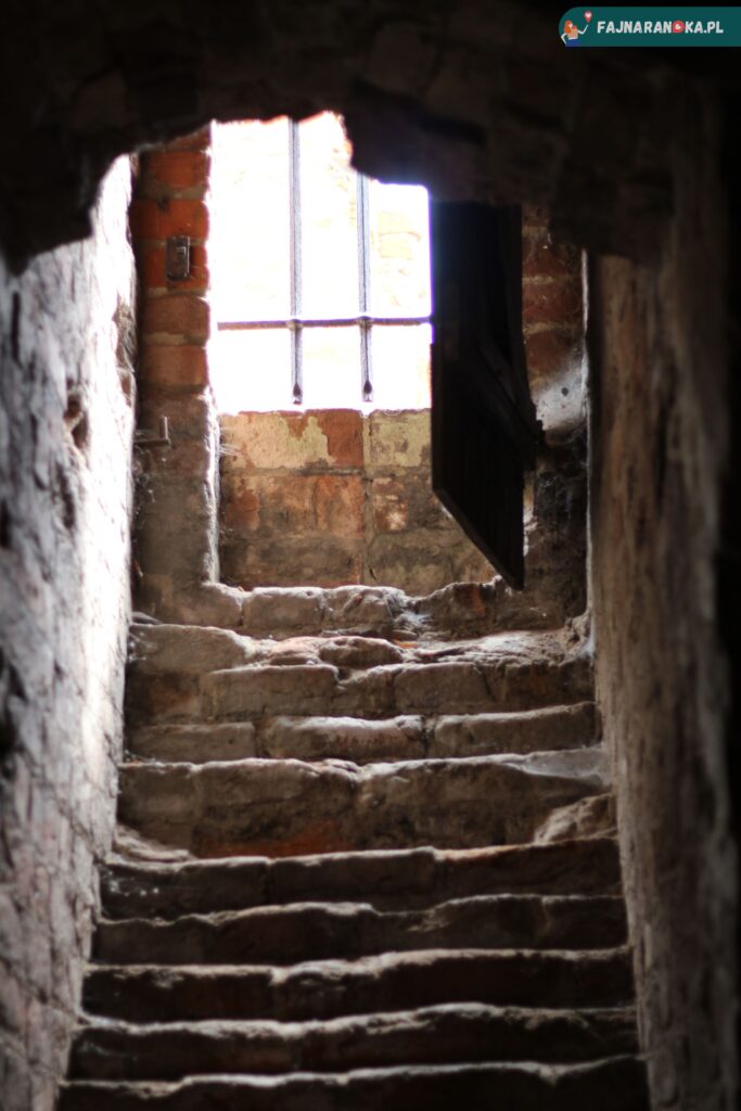 Podziemia w ruinach zamku krzyżckiego w Toruniu.