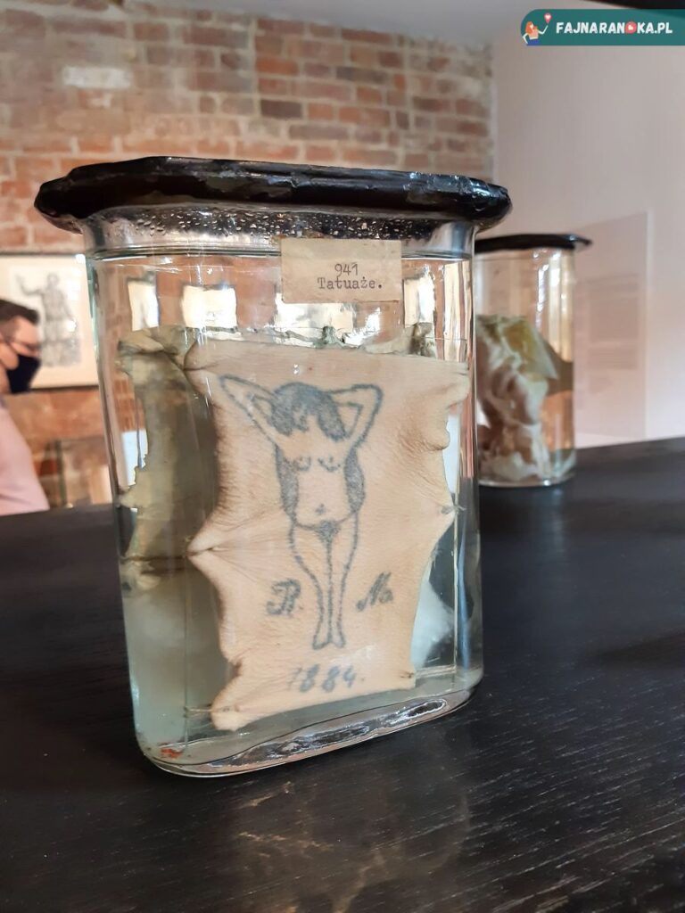 Tatuaż w formalinie. Eksponat prezentowany w Muzeum Medycyny we Fromborku.
