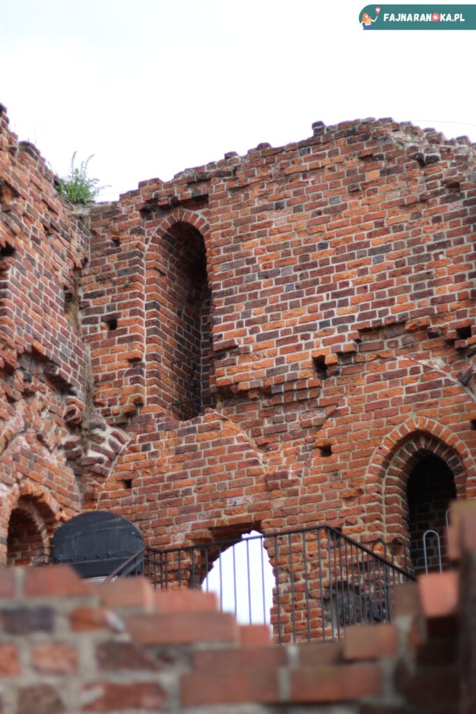Ruiny zamku krzyżackiego w Toruniu