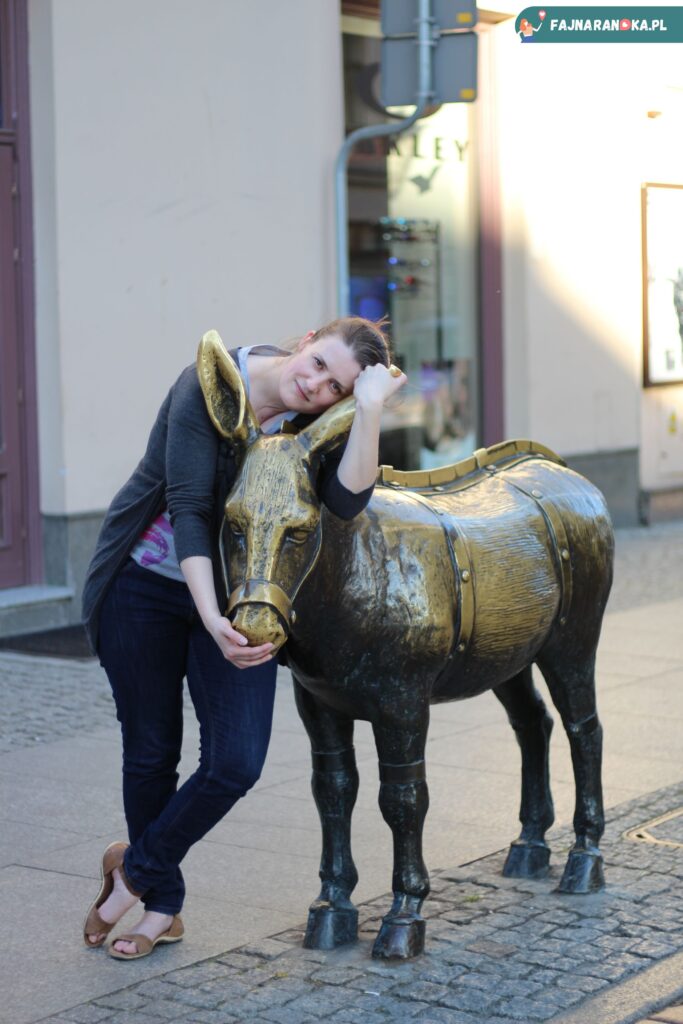 Narzędzie tortur dla żołnierzy - pręgierz osioł w Toruniu.