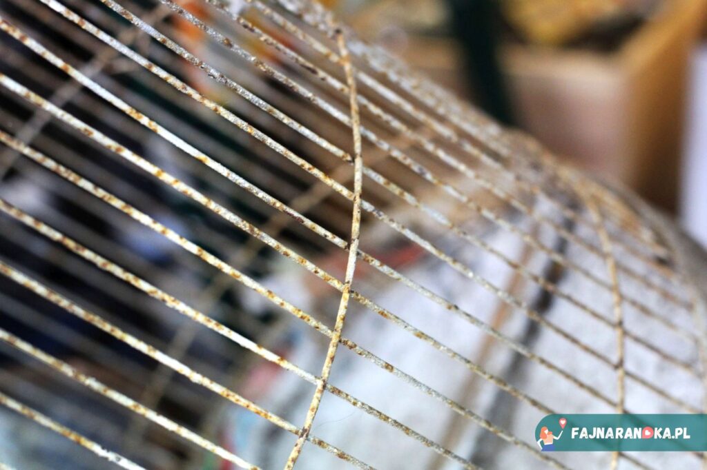 Ozdobne klatki dla ptaków na Jarmarku Dominikańskim.