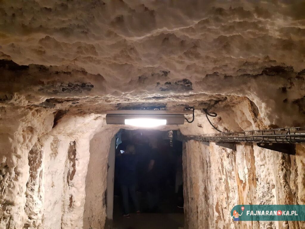Ściany i sufit pokryte solą w Kopalni Wieliczka.