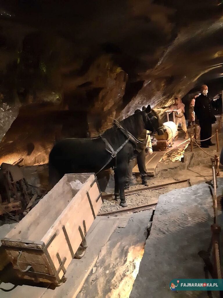 Wnętrze Kopalni Wieliczka - podziemny transport konny.