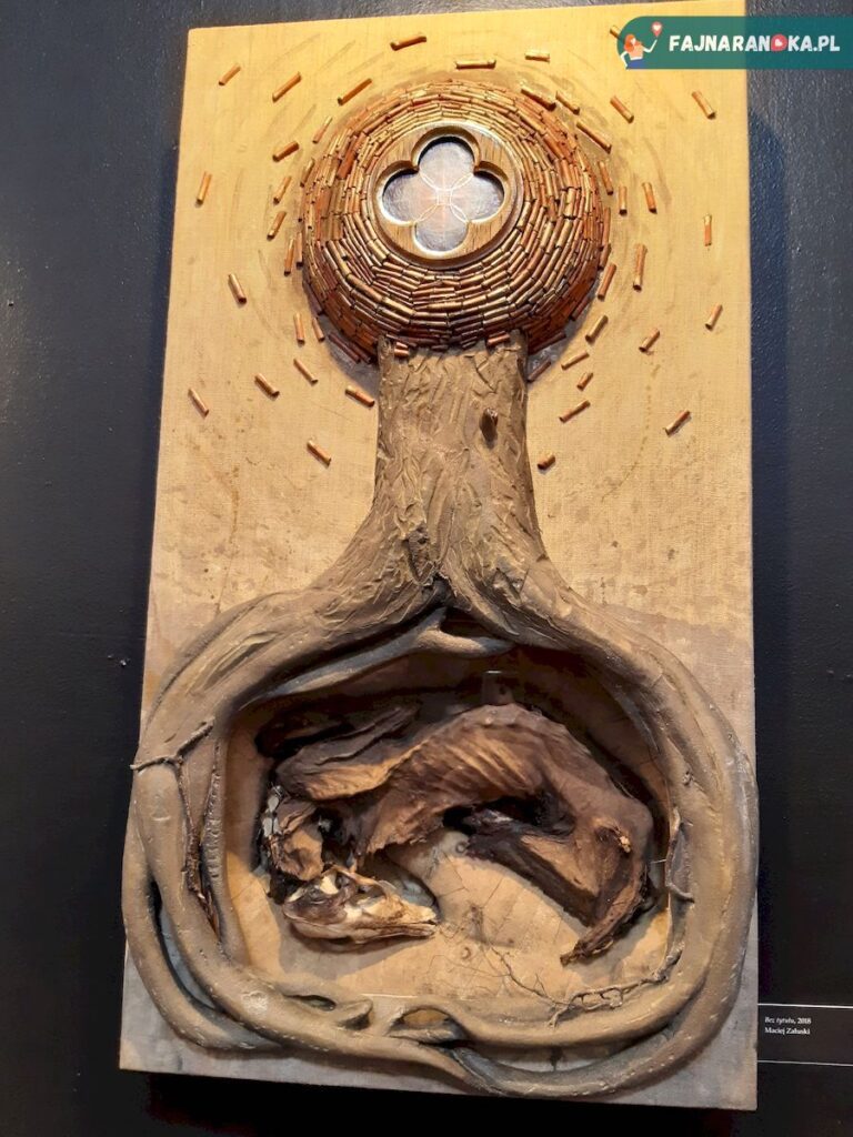 Cum animal morietur w Muzeum Historii Medycyny we Fromborku.