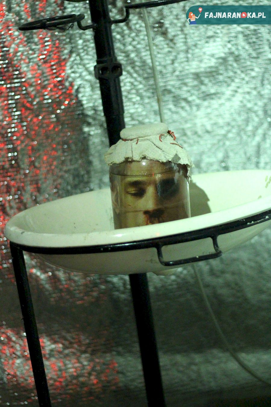 Głowa w słoju - element dekoracji w podziemnym Laboratorium Frankensteina w Ząbkowicach Śląskich.