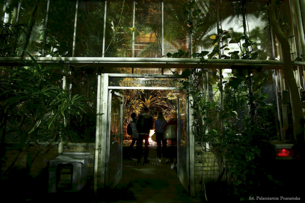 Przejście między pawilonami Palmiarni podczas nocnego zwiedzania to niezwykłe przeżycie.