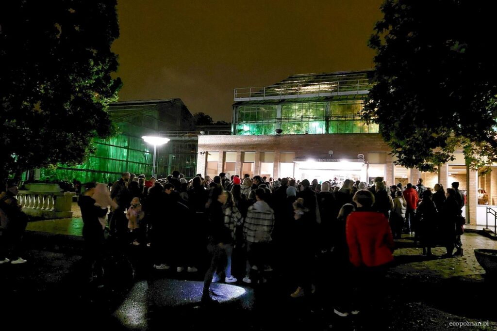 Kolejka do wejścia i kolejka do kasy Palmiarni to stały punkt programu nocnego zwiedzania.