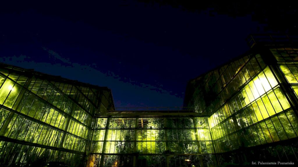 Poznańska Palmiarnia po zmroku to niezwykłe miejsce. Warto wybrać się na randkę połączoną z nocnym zwiedzaniem.