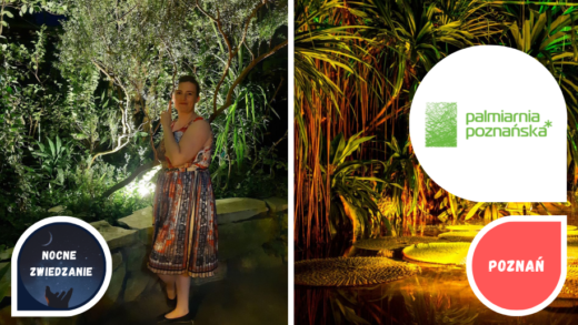 Randka w Poznaniu - noc w Palmiarni z fajnarandka.pl