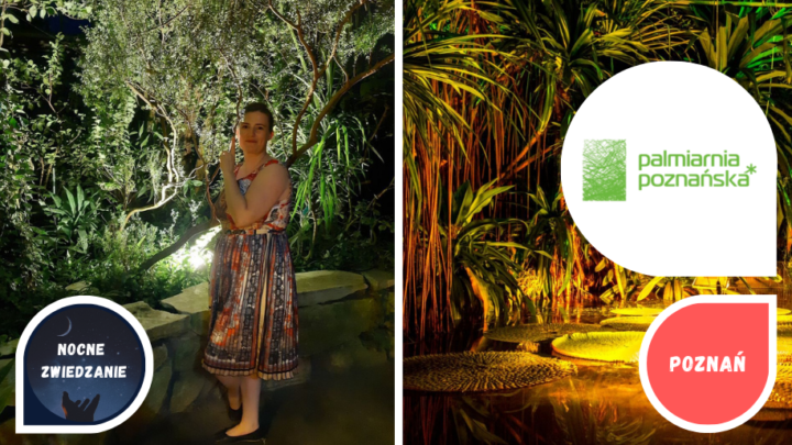 Randka w Poznaniu - noc w Palmiarni z fajnarandka.pl